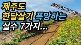 제주도 한달살기 초보자가 하는 실수 7가지 |제주 한달살기 가기 전 필수 영상 입니다! 여행 꿀팁 전수, 한달살기 가기 전 준비해야 할 것들, 제주도 한달살기 여행 정보