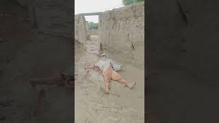 Pashto New Funny Video - #shorts