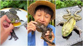 Give the bullfrog an egg | Chinese Mountain Forest Life and Food #Moo Tik Tok#FYP