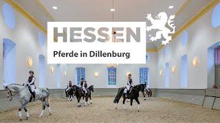 #Geschichtenerzähler  - Historisches Hessen: Das Landgestüt Dillenburg