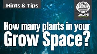 How many plants in your grow tent / room? | Hints & Tips