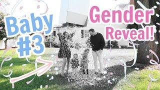 NEW BABY GENDER REVEAL!! // GIRL OR BOY? // Simply Allie