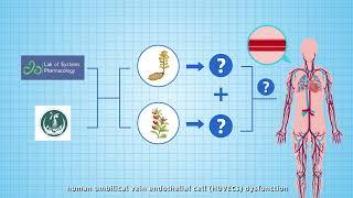 Gastrodin and Gallic Acid Attenuate Apoptosis and Inflammation – Video abstract [477554]