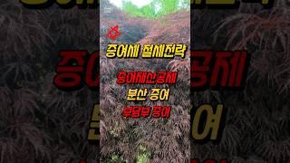 증여세절세전략(증여재산공제,분산증여,부담부증여)