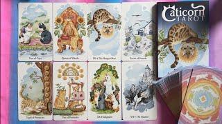 Caticorn Tarot | Serene, Playful, Fresh | Walkthrough, Review + Pairings