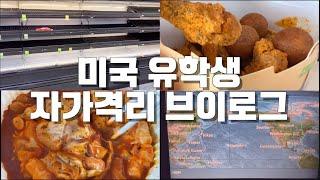 미국 유학생 자가격리 일상 브이로그 | 사회적 거리두기 (feat. 먹방) | 집콕 VLOG