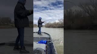 Sturgeon Slay On The Sacramento River!!