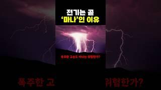전기는 곧 ‘마나’인 이유.. ㅋㅋ