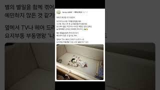 재테크 태교한 아가 청담이 #좋은글 #멋진글귀 #공감글귀 #명언 #라바래빗 #직장인 #회사원 #엔잡러 #N잡러