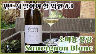 와인 입문자가 반드시 마셔봐야 할 와인 #3!! Sauvignon Blanc (소비뇽 블랑)