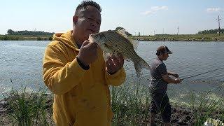 Hmong Nuv White Bass ND Devils Lake Haib Kawg 8/4/18..P-1