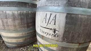 AJA Vineyards: Best of Agoura with Steve Rifkin