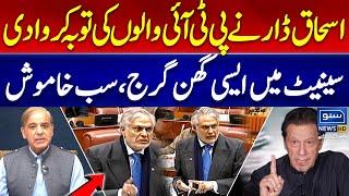 Deputy Prime Minister Ishaq Dar Fiery Speech In Senate Session | Senate Session Today | Suno News HD