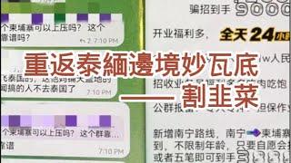 重返泰缅边境妙瓦底 （22） ——— 割韭菜 緬甸 | 泰國 | 緬北 | 電信詐騙 | KK園區 | 亞太城 | 割腰 | 人口販賣 | 王星 | 湄索 | 妙瓦底 | 狗仔隊 | 前線調查