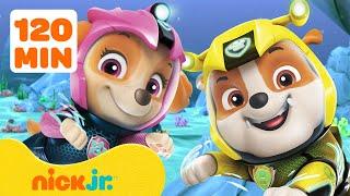 Patrulha Canina | Resgates da Patrulha Canina em Qualquer Lugar Menos na Baía da Aventura | Nick Jr.