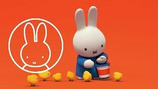 welcome to the official miffy channel