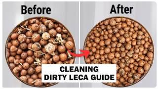 How To Clean USED Leca Clay Pebbles (4 Easy and Effective Method)