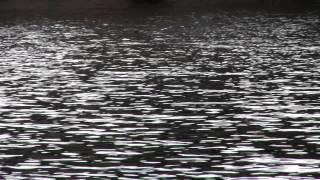 Solarstone - Touchstone (Official Video)