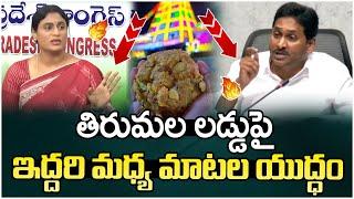 War Of Words Between YS Sharmila And Jagan | Tirumala Laddu Controversy | AP Politics | SocialPost