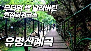 유명산 _ 유명산계곡 _ 여름산행 _ 원점회귀코스