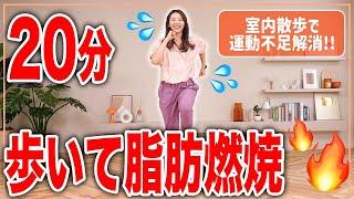 【20分室内散歩】暑い日or雨の日はおうちで歩いて脂肪燃焼！【おうちで健康体操】