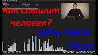 Как слышит человек, воспринимает речь, звуки. Мозг. Практика