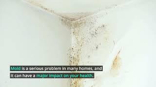 Chattanooga | What Does Finding Mold Mean To The Home Inspection | (423) 284-1510 | CALL NOW