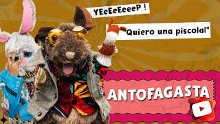 Demian The Rat En Antofagasta