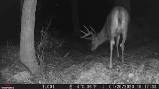 10-Point Buck (Part I) [SGGC]