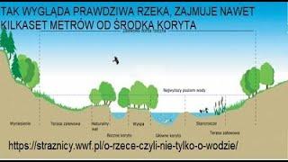 POtop to „wina Tuska” POwtórka i kara za głuPOtę ? POwodzie, susze, wojny, zarazy, nieKOmpetencja ?