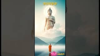 명상의말씀/부처님말씀 #고요한지혜 #긍정적마인드 #부처님말씀 #좋은글
