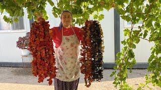 KABAK DOLMASINI BİRDE TAVUKLU DENEYİN️|KIŞLIK HAZIRLIKLARIN BİR KISMI TAMAM ️