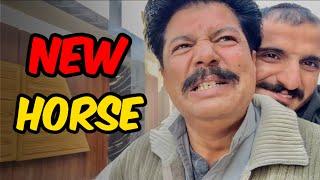 New Horse Search️|| Bhai Waseem Shocked|| Stolen Orange P2