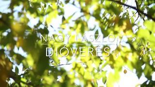 Nagy László - Dióverés