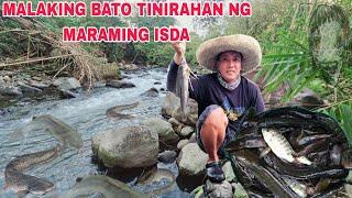 Malaking Bato pugad ng isda Jackpot sa dami ng huli isda Gitna ng Gubat Tirahan Ng Ibang nilalang ..