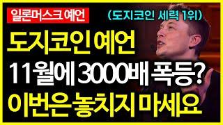 도지코인 일론머스크 예언으로 11월에 3000배 폭등 시작?