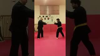 WSDA COMBAT JU-JITSU (FUSIONE DI KENPO-JUJUTSU & REAL AIKIDO) BUDOKAN AREZZO MAESTRO LUCIO PICCIOLI