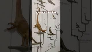 Dinosaur Family Tree - The Saurischians and The Ornithischians #paleontology #dinosaurs #geology