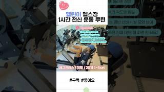 헬스 초보 1시간 전신운동 루틴