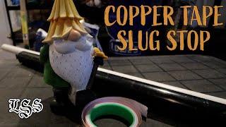 Stop slugs with copper tape! A Little Garden Help.