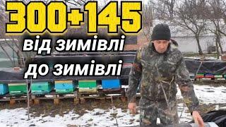 10-рамковий вулик річний цикл за 10 хв. Метод утримання на нашій пасіці