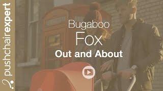 Pushchair Expert meets the Bugaboo Fox