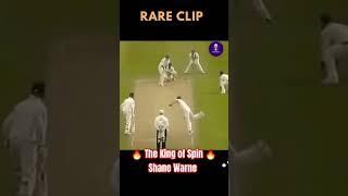 The King Of Rare Spin | #shorts #trending #viral #short #cricket #music #remix 