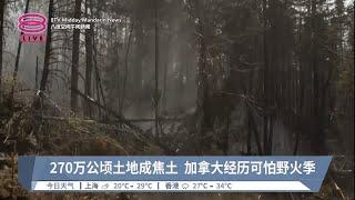 270万公顷土地成焦土 加拿大经历可怕野火【2023.06.03 八度空间午间新闻】