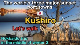 【 Kushiro 】Hokkaido trip in the middle of winter 2 / Travel to Japan