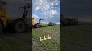 #сельскоехозяйство #омскаяобласть #трактор #кировец #farming #agriculture #фермер