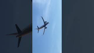 Sri Lankan Air Lines A330 Landing on BIA #trending #shorts #viral