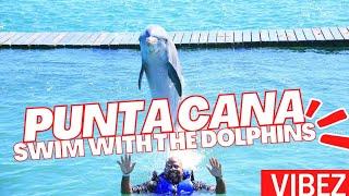 The BEST EXCURSION In Punta Cana SWIM With The Dolphins| IS it worth $195 U.S. Dollars