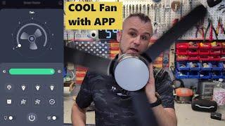 Small but Easy to Install Ceiling FAN for DIY-ers by HINOMY 28" product showcase Review