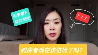 【2023市场分析】现金购房为何大增？房地产市场要回暖？奥斯汀现在的房市是不是购房者进场的时机？＃房价＃买房#austin #奥斯汀